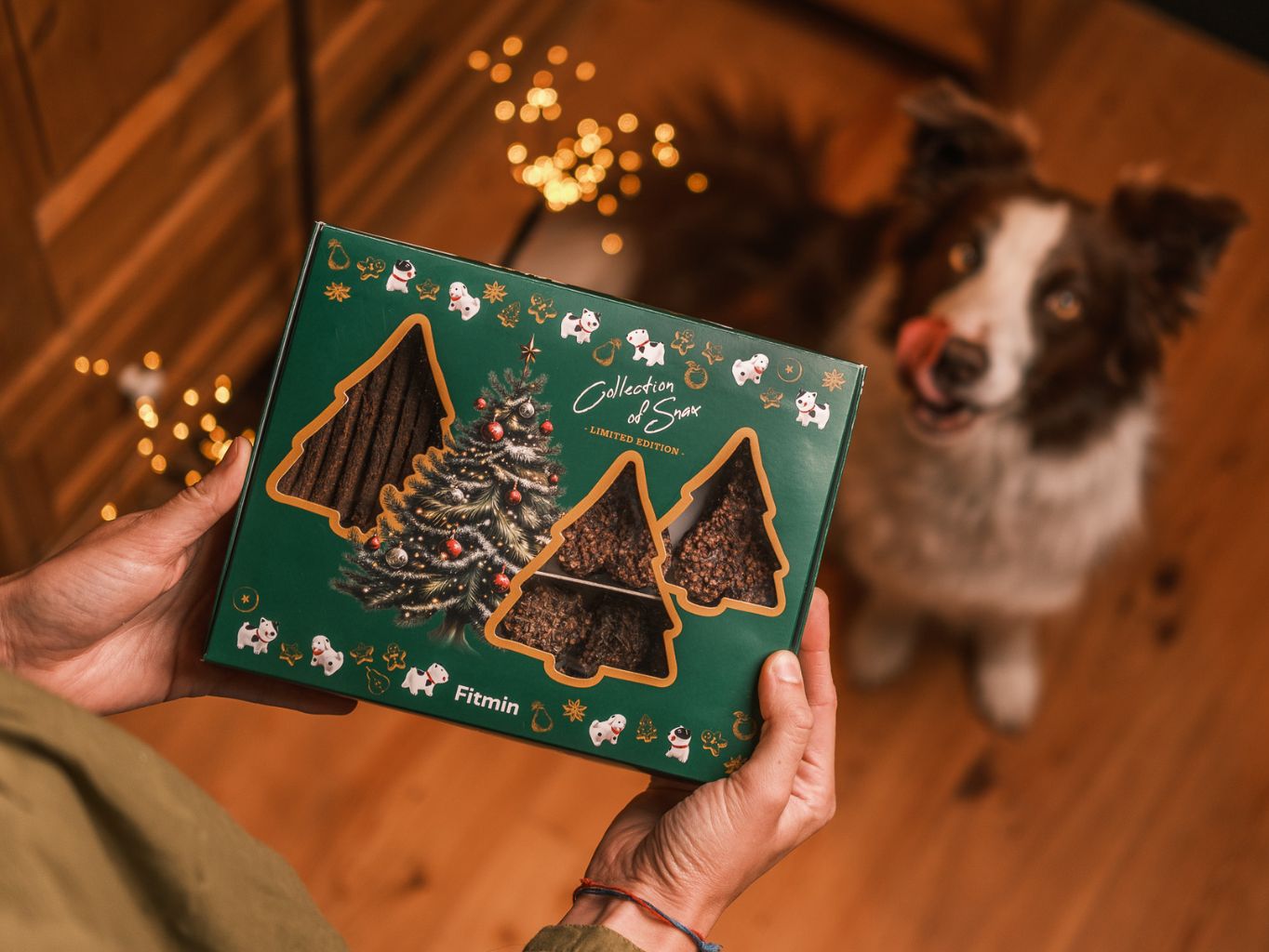 Vánoční novinky pro psy, kočky i koně